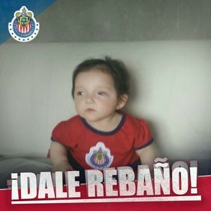 Meet your Posher, Carlos